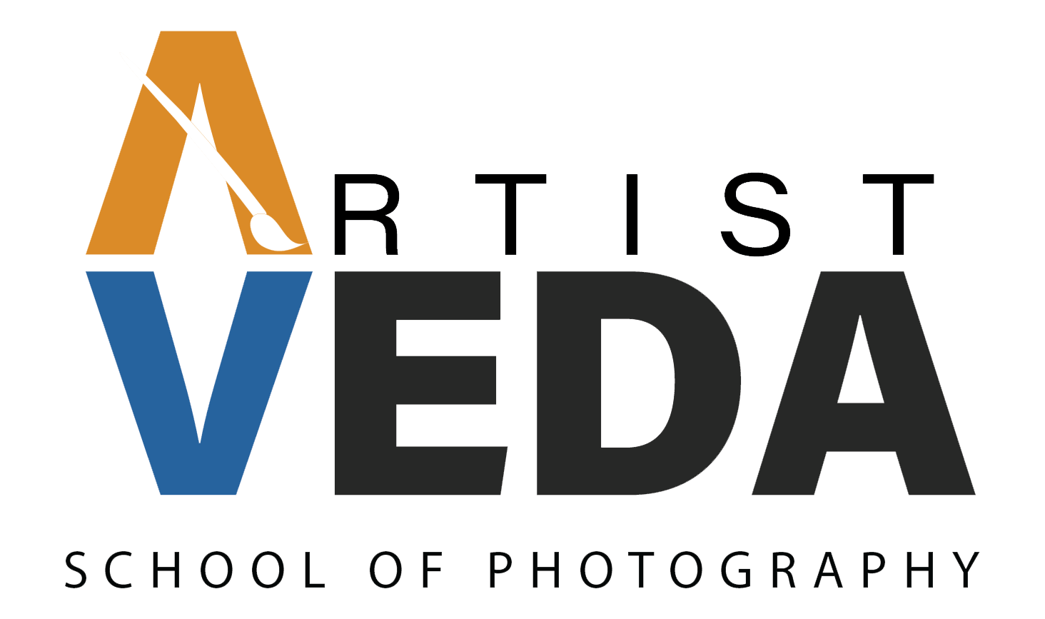 Artist Veda Logo transparent